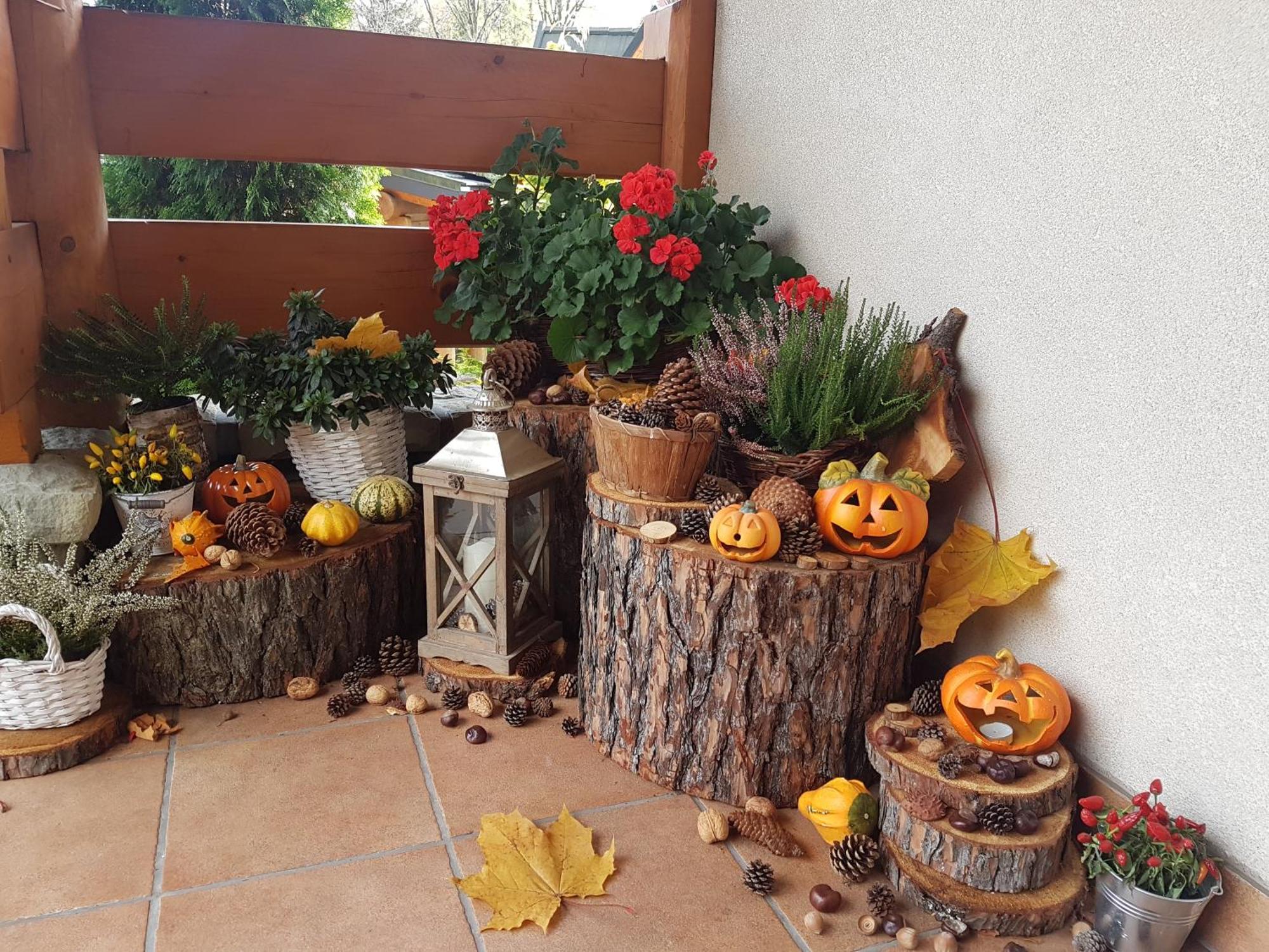 Lesny Dworek 5* Zakopane